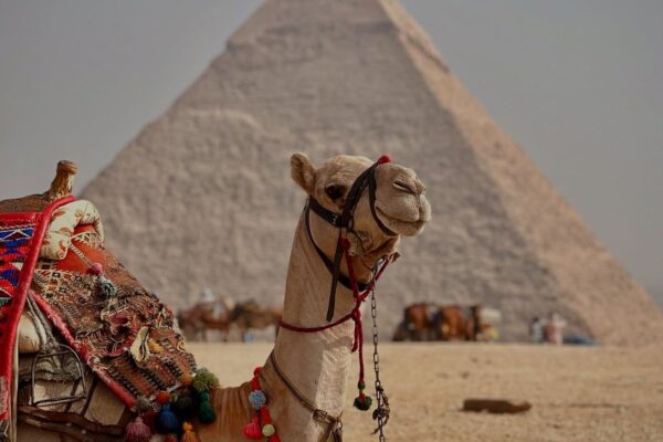 Egypt Explorer (Cairo + Pyramids)