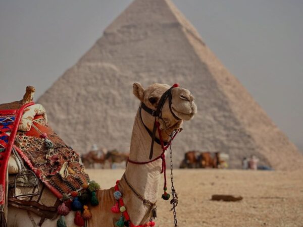 Egypt Explorer (Cairo + Pyramids)