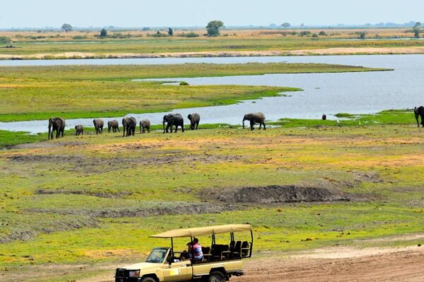 Local Escape – Kasane / Chobe Safari