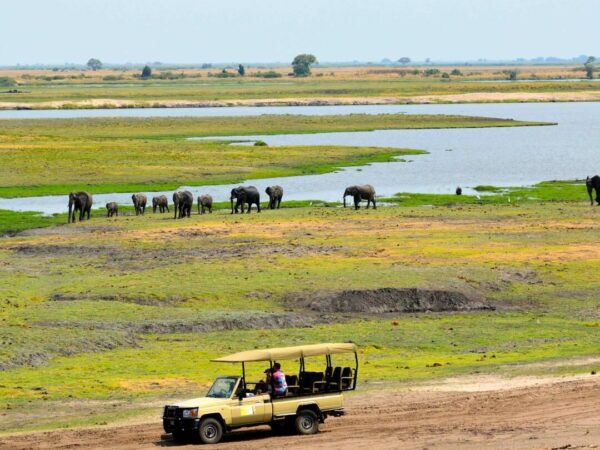 Local Escape – Kasane / Chobe Safari